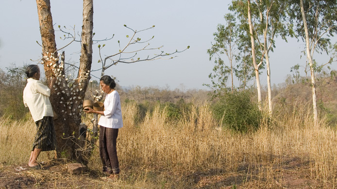 The Phi Ta Khon Project